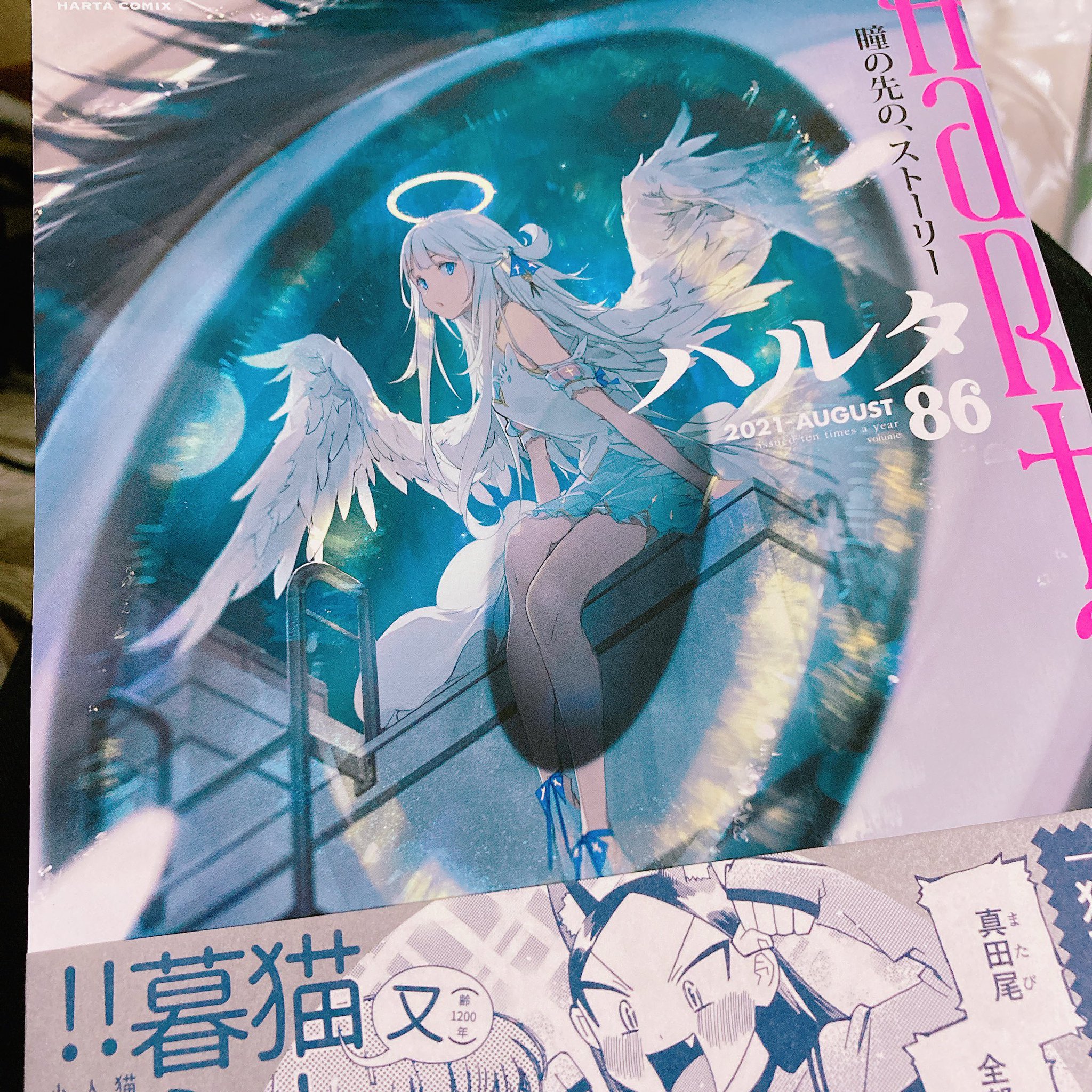 またたび！プロフィール必読！ oo6 | #COMITIA145《東6ホール た37ab》 猫目トヲルちゃんと合同