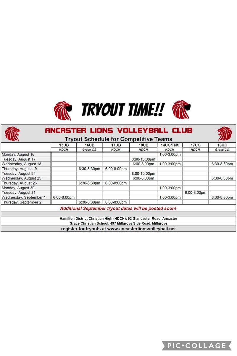 Ancaster Lions VC tweet media