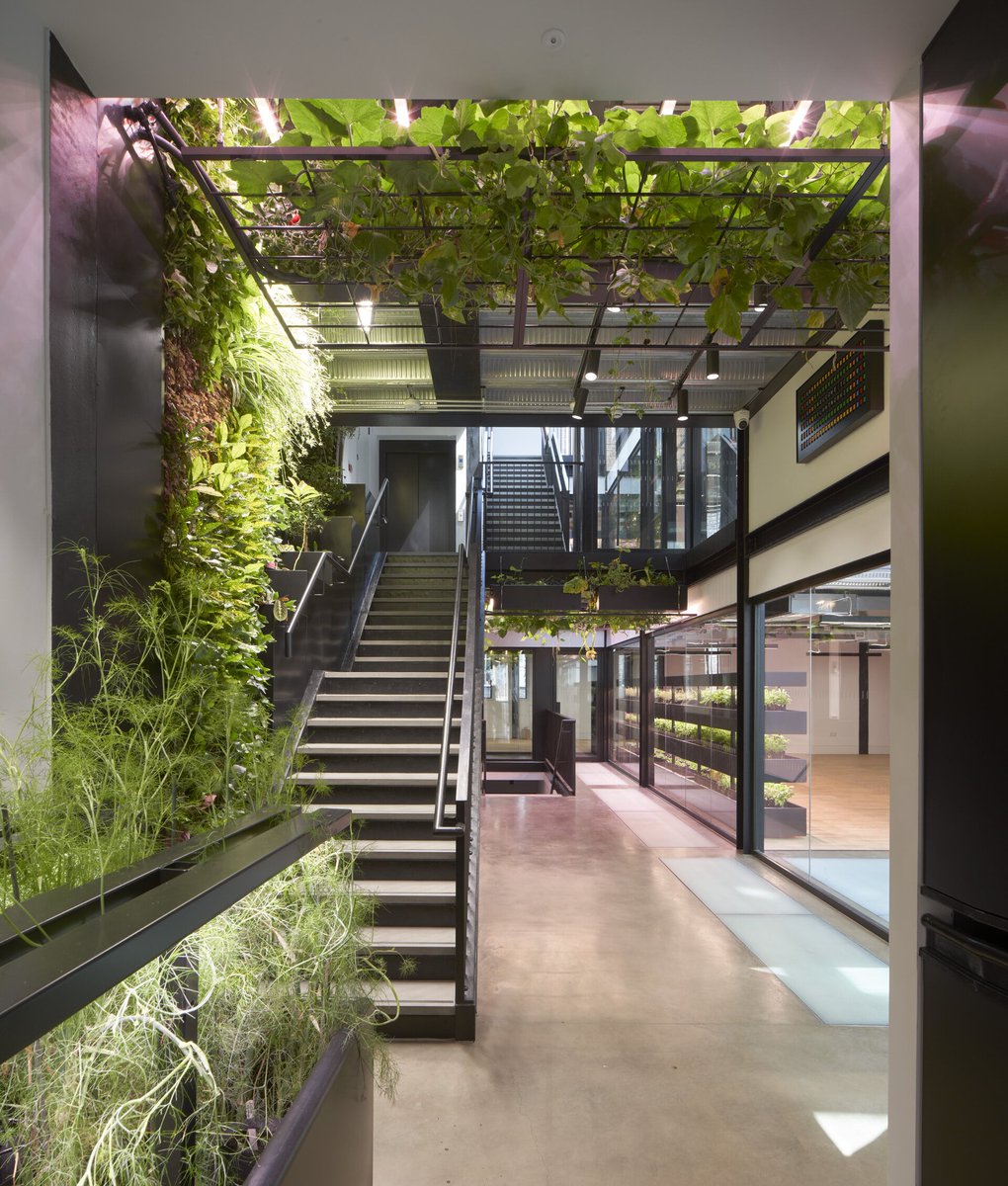 parmarbrook tweet media