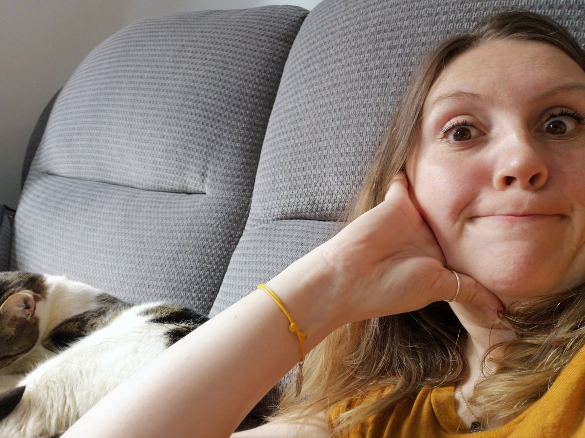 Amyodo's tweet photo. Got some lovely company while on the #sla2021 conference today. They are finding it less interesting than me, but hey, each to their own. #destinationeverywhere  #TheseArentMyCats #ConferenceCat https://t.co/FmM5TWk42G