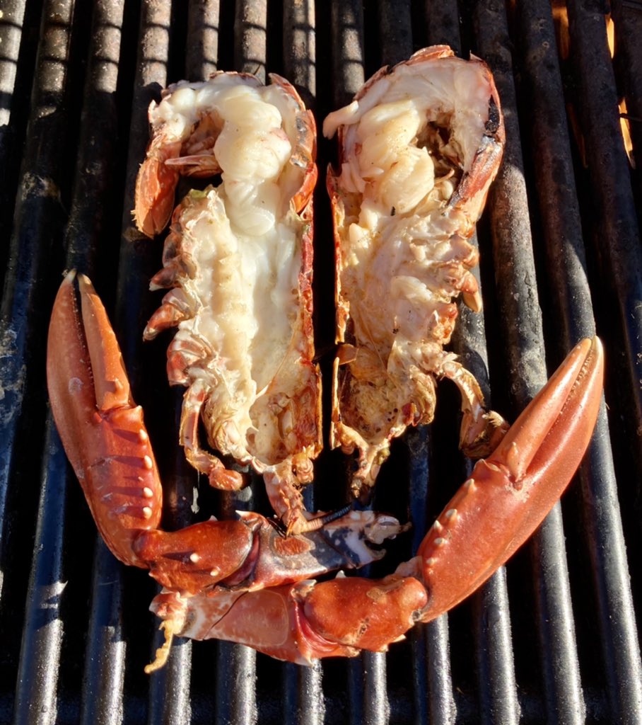 Loyal Friend PW 12 (@loyalfriendpw12) on Twitter photo βA fine selection of crabs and Lobsters available...
ORDERS BY 16:00 TODAY PLEASE
<a href="/LoyalFriendPW12/">Loyal Friend PW 12</a>
π¦ππ¦
Orders: M: 07721 942 954
#newquaycornwall
#cornishkingcrab
#Seafood
#sustainability
#localproduce
#easytocock
#eatmoreshellfish
#bestofcornwall βA fine selection of crabs and Lobsters available...
ORDERS BY 16:00 TODAY PLEASE
<a href="/LoyalFriendPW12/">Loyal Friend PW 12</a>
π¦ππ¦
Orders: M: 07721 942 954
#newquaycornwall
#cornishkingcrab
#Seafood
#sustainability
#localproduce
#easytocock
#eatmoreshellfish
#bestofcornwall