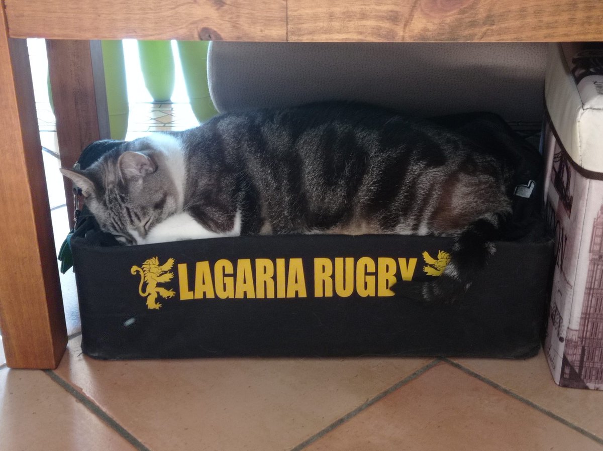 lagariarugby's tweet photo. Pausa estiva: c'è chi ne approfitta per riposare. 
#lagaria #Rugby https://t.co/HutjT2BYvn