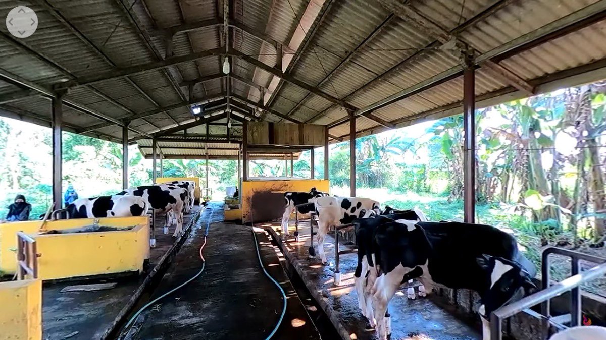 gsafifah's tweet photo. yg ketigaa ni ini, yang namanya anak peternakan bakal deket amaa kandang ga si?? yg dipikir itu bukan kotor baunyaa tapi serunya gaissss sampe ada yg blg 'salam cinta dari ujung kandang' ciah 
#MPKMBAirlines #MPKMBIPB58 #MahardikaCakrabinaya #GNRMIPB https://t.co/PCd0Ej6PmD