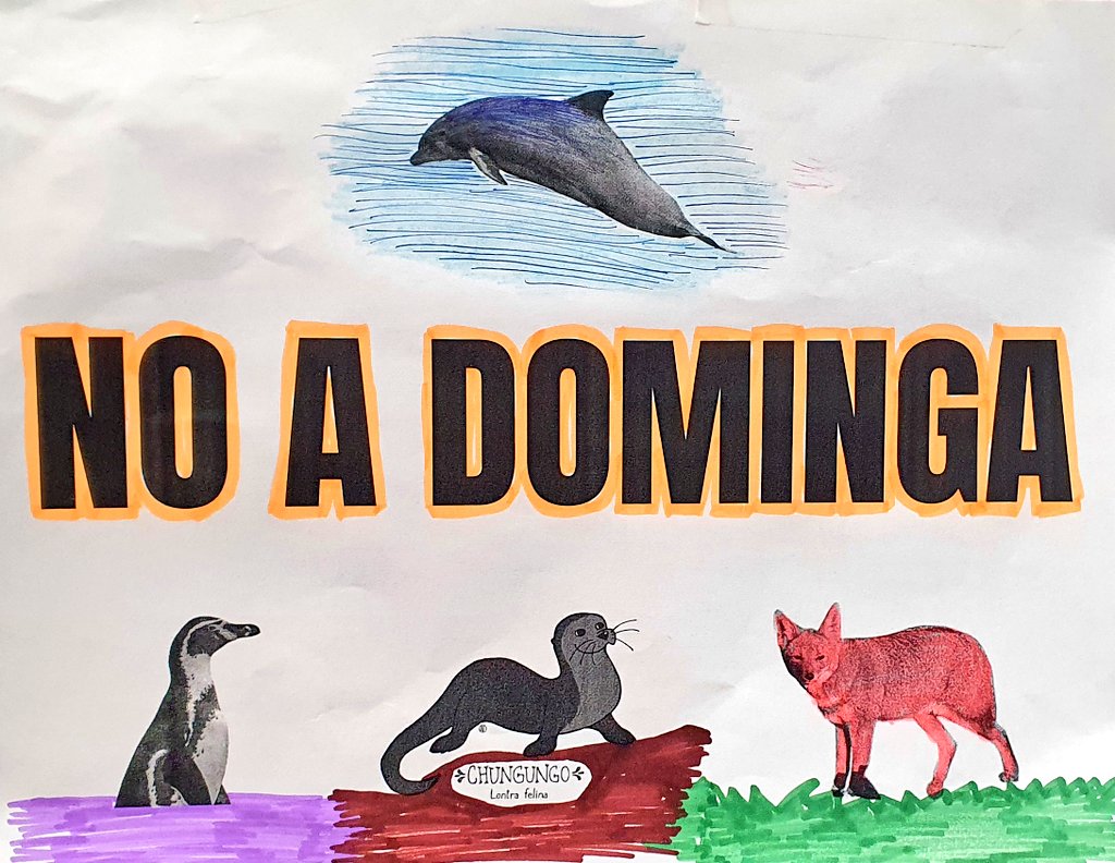 criordor's tweet photo. El extractivismo arrasa con desiertos, ríos, salares, cielos, glaciares, bosques, mares y montañas. Peces, mamíferos, insectos, plantas, microorganismos, algas y aves son borrados de sus hábitats. Destruir el #ArchipiélagoDeHumboldt 🐋 es una aberración #NoADominga 🚫 https://t.co/QK5rxM2xHX