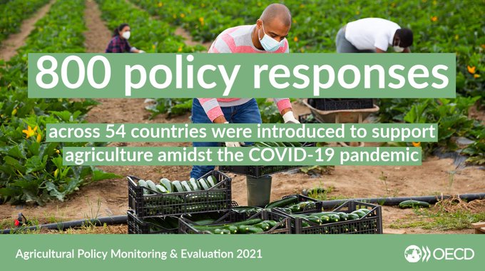 Across 54 countries, nearly 800 #AgPolicy responses were introduced in response to the #COVID19 pandemic.

While USD 157 billion was earmarked for support to agriculture, disbursements have been much lower, partly reflecting the resilience of the sector ➡️ bit.ly/M-Epb