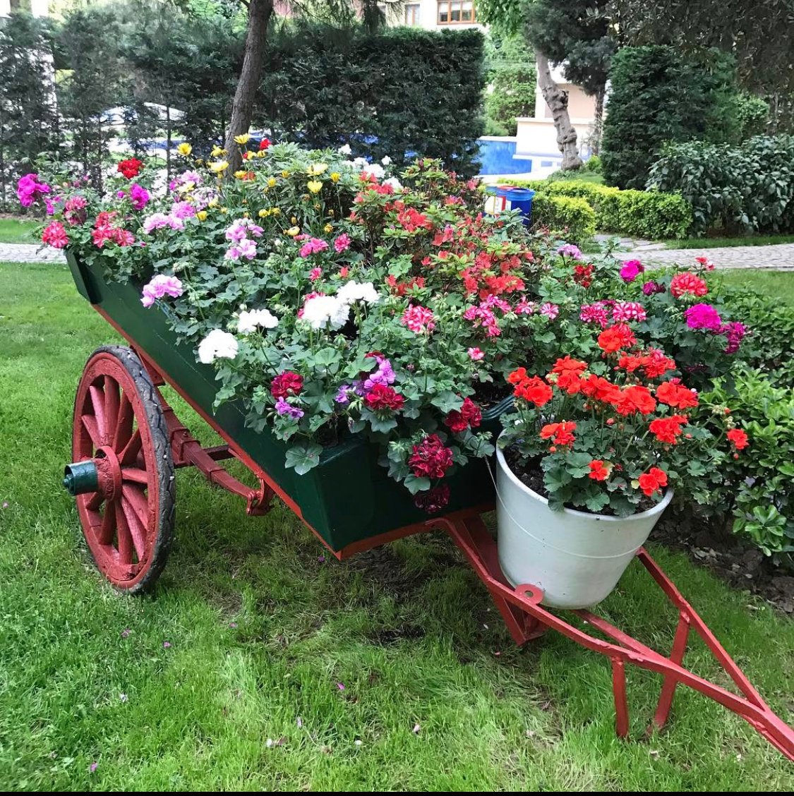 Dave1Zahn's tweet photo. “Love is like wildflowers; it's often found in the most unlikely places.” https://t.co/u8aOILjQ2d