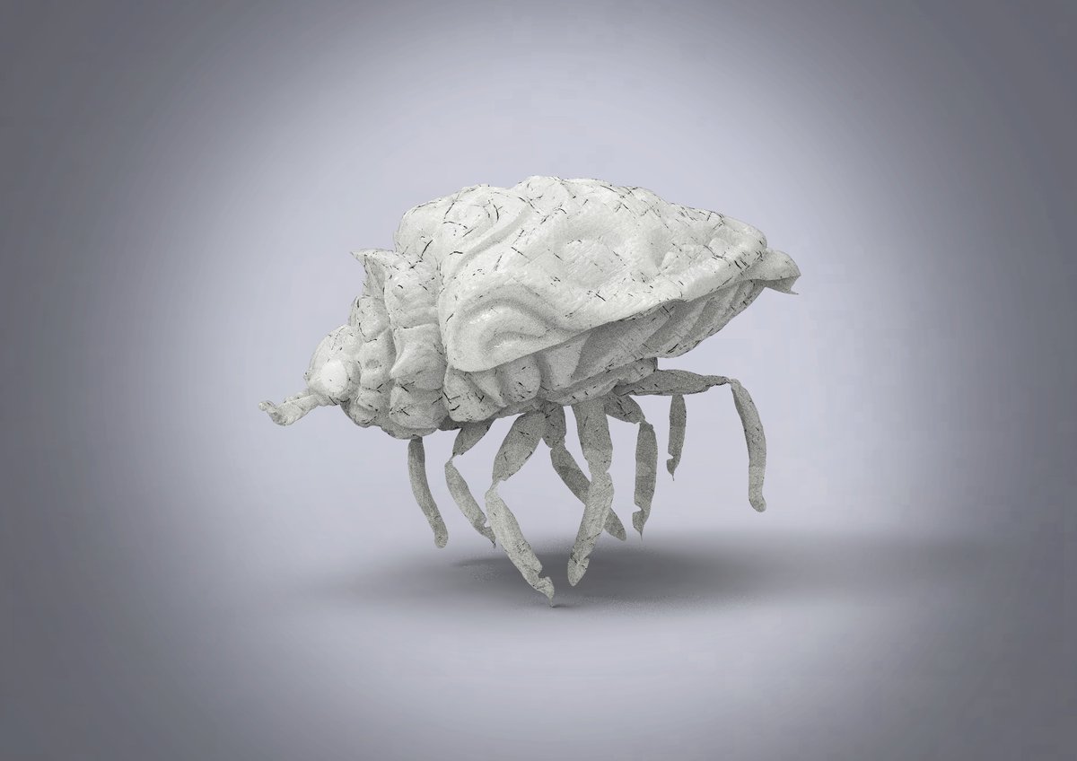 so_creatures's tweet photo. Bug`s life
🌿🌿🌱🐞🪲🐜🐛

#zbrush #keyshot #sculpture https://t.co/BIcwWuXhBm