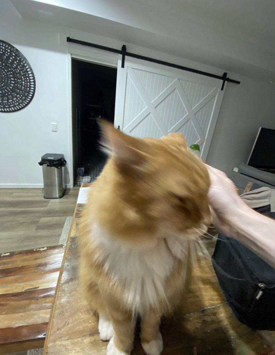 celeryschtick's tweet image. when u miss ur handsome boy and ur bf sends you these 100/10 shots