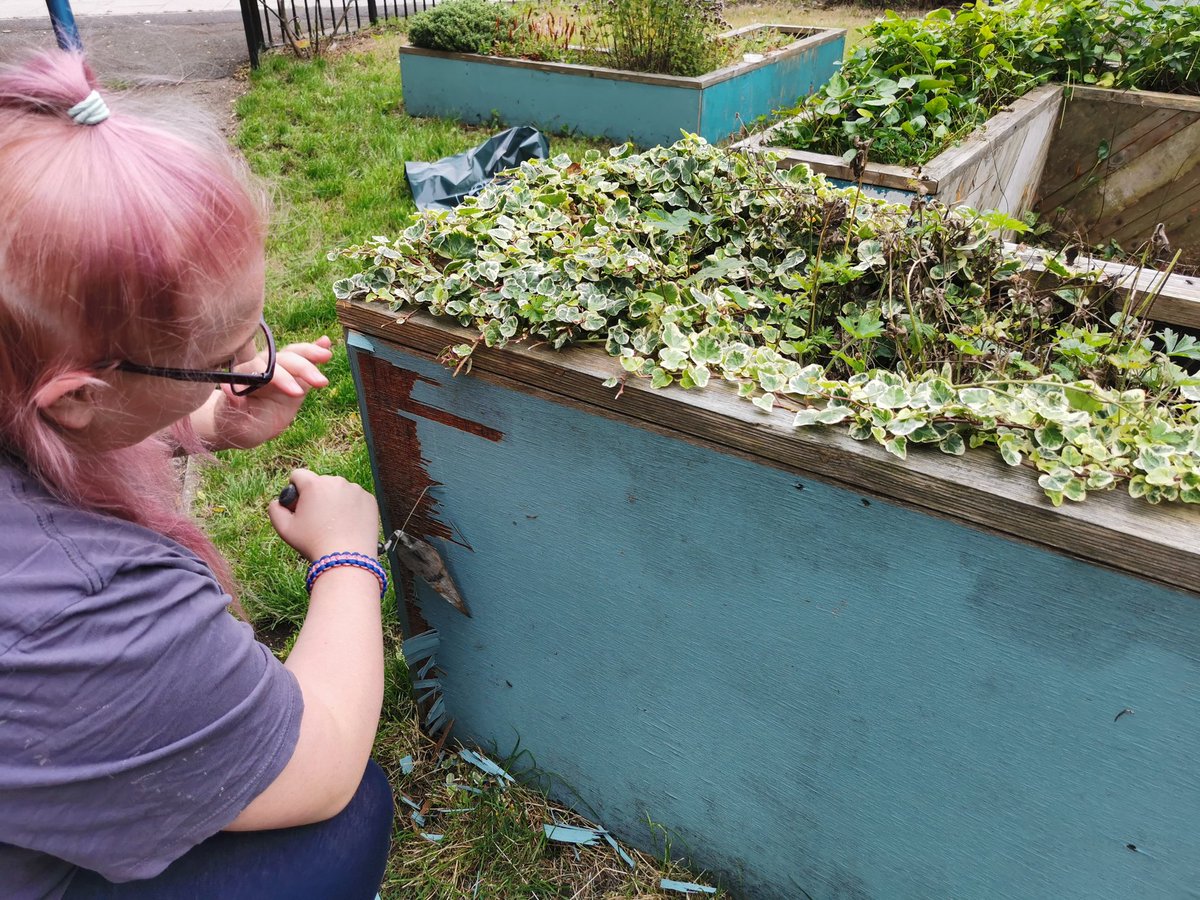 Toni getting stuck in first thing this morning on our Social Action Project <a href="/homebakedclt/">Homebaked Community Land Trust</a>