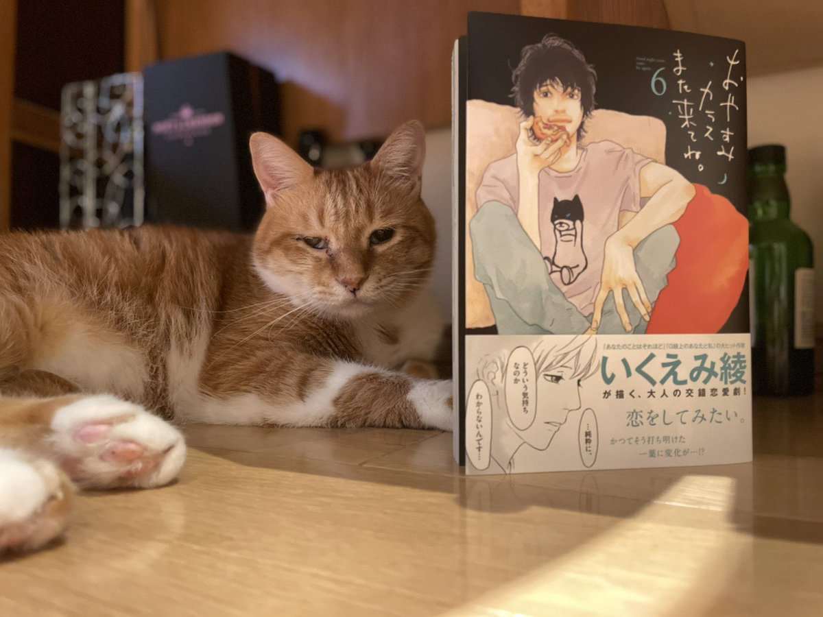 激安特価 いくえみ綾 52冊セット 女性漫画 本 音楽 ゲーム 9 990 Jkkniu Edu