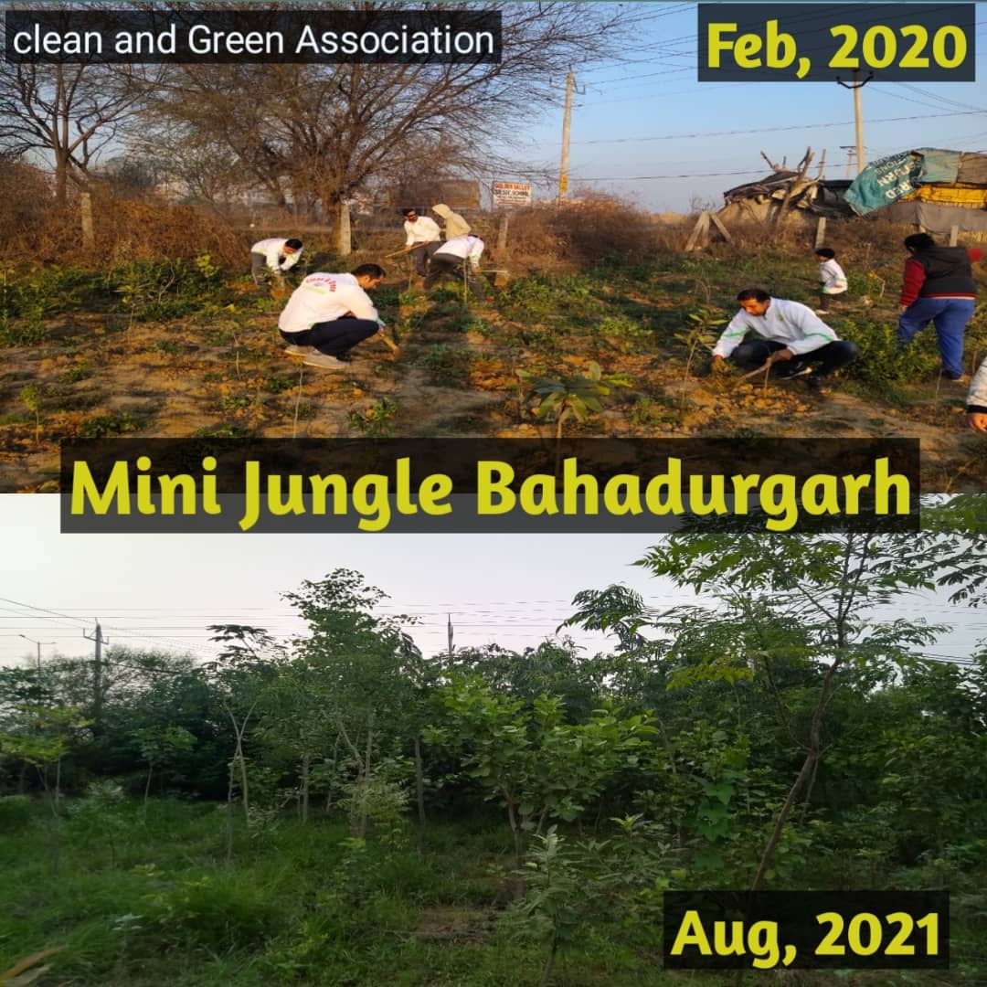 cleangreenBGR's tweet photo. https://t.co/EgML74JNrV
