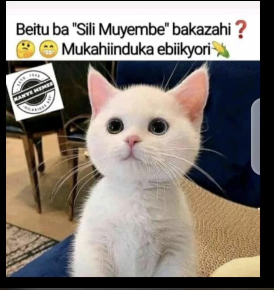 Nampwera Ambrose tweet media