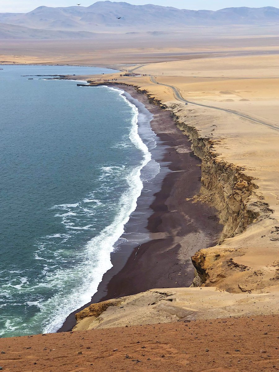 BOBEE Spot tweet media