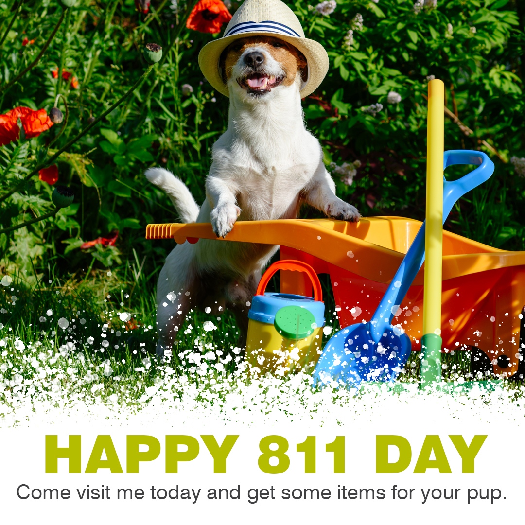 Happy 811 Day! It's hot out here, so stop by Tractor Supply in Dewitt, NY from 11 a.m. to 2 p.m. today and grab a FREE collapsible water bowl for your furry friend among other items! You can also learn more about the importance of notifying 811 before you dig.