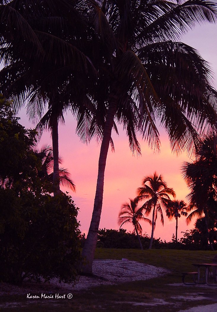 Pink Clouds for You from the Florida Keys. 🧜‍♀️💞🕊️ #HappyMonday #MiraclesHappenAllTheTime #YouAreLovedBeyondMeasure #BelieveandReceive