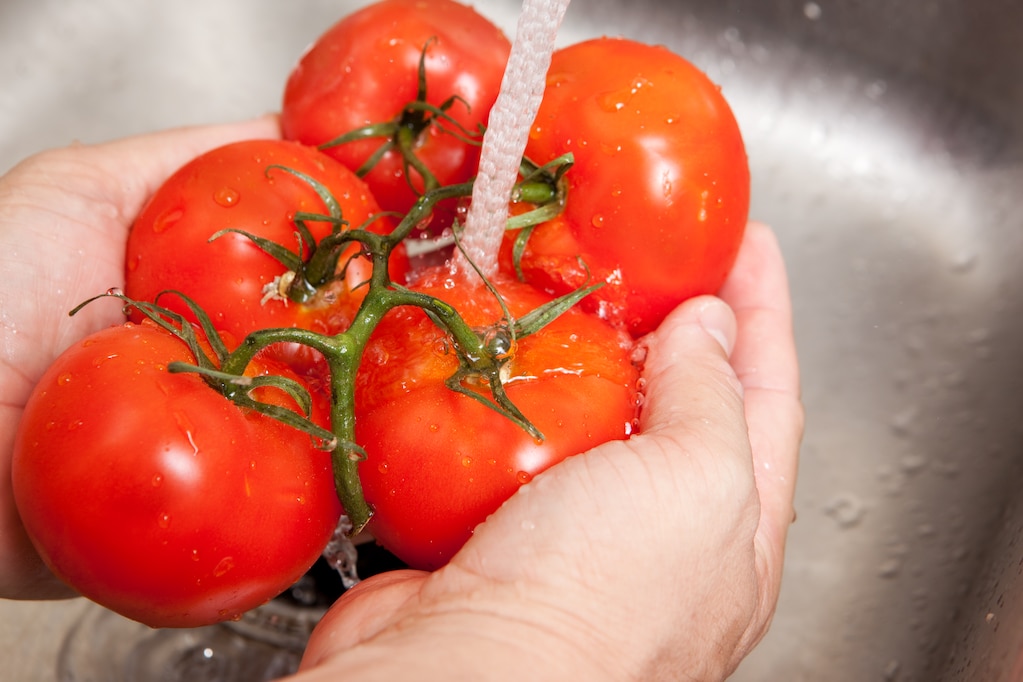 UDcanr's tweet photo. Why you shouldn’t be washing your fruits and vegetables with soap https://t.co/MIGtozPD5r #UDel #UDExt #FoodSafety https://t.co/JciVpNPc1P