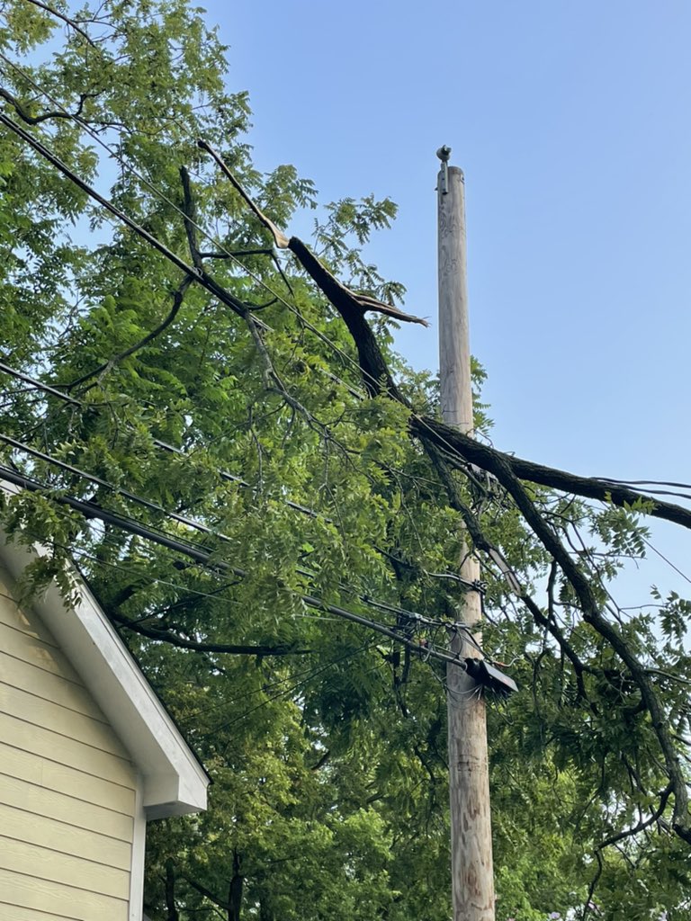 Eric Bryn tweet media