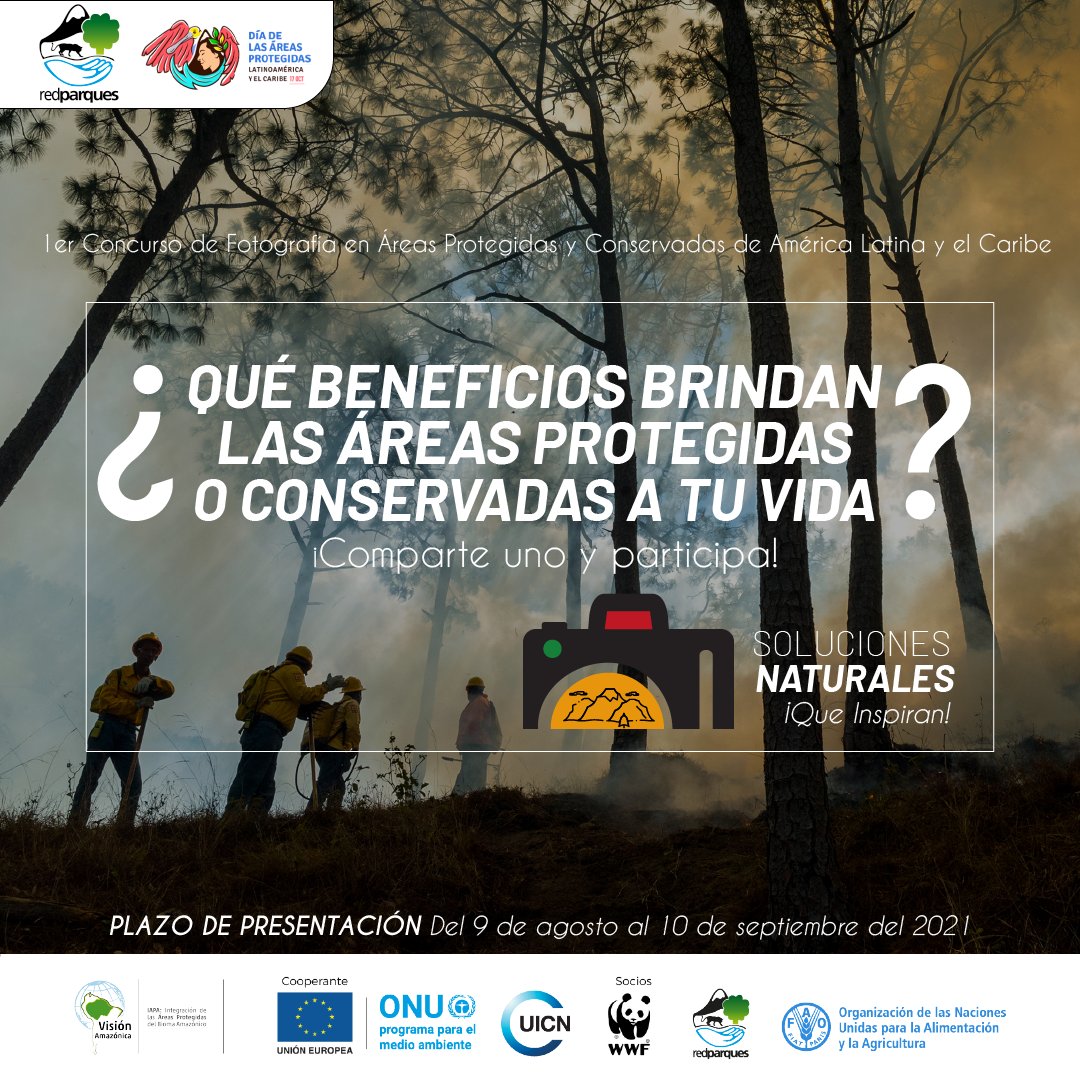 REDPARQUES tweet media