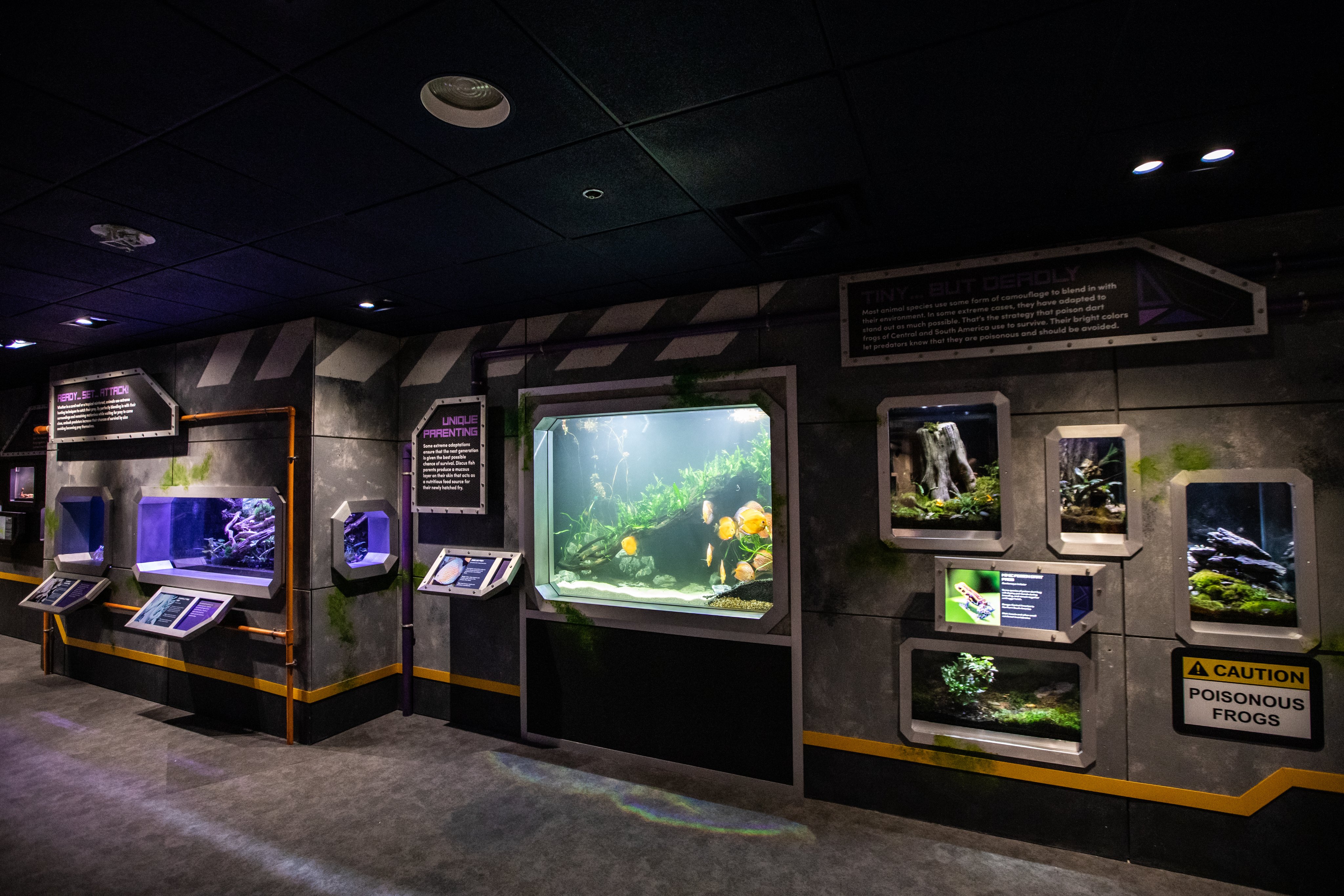 Georgia Aquarium We Recently Made Some Exciting Renovations To Our Aquanaut Adventure A Discovery Zone With Lots Of New Animal Faces To See T Co Ftfy5ff0fo Twitter