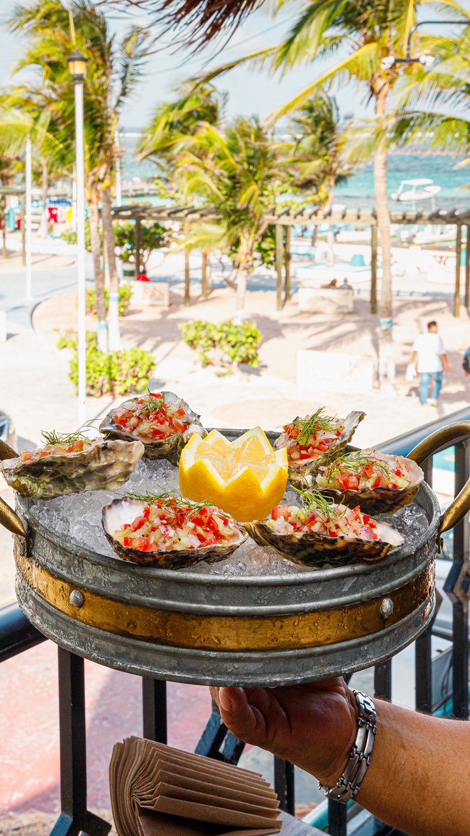 PuntaCorcho's tweet image. Entre nuestros nuevos platillos encuentra esta opción perfecta para los días de calor. 
· Ostiones con pico de gallo de xoconostle, limón amarillo y yuzukosho. ⚓
#puntacorcho #puertomorelos #seafood