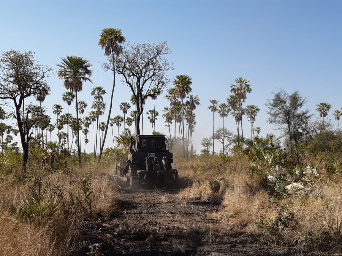 ArnoldoWiens's tweet image. Se llegó al Hito IX con la limpieza y apertura de la línea de frontera seca entre Paraguay y Bolivia. Falta poco para culminar este trabajo entre el Comando de Ingeniería, la @cndl_mre y el @mopcparaguay