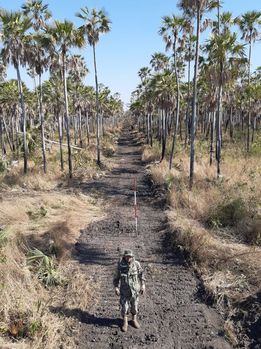 ArnoldoWiens's tweet image. Se llegó al Hito IX con la limpieza y apertura de la línea de frontera seca entre Paraguay y Bolivia. Falta poco para culminar este trabajo entre el Comando de Ingeniería, la @cndl_mre y el @mopcparaguay