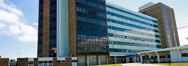 Fungus found in Altnagelvin: Deep clean under way after aspergillus fungus is found in Altnagelvin's Intensive Care Unit, says Karen Mullan MLA newswireni.com