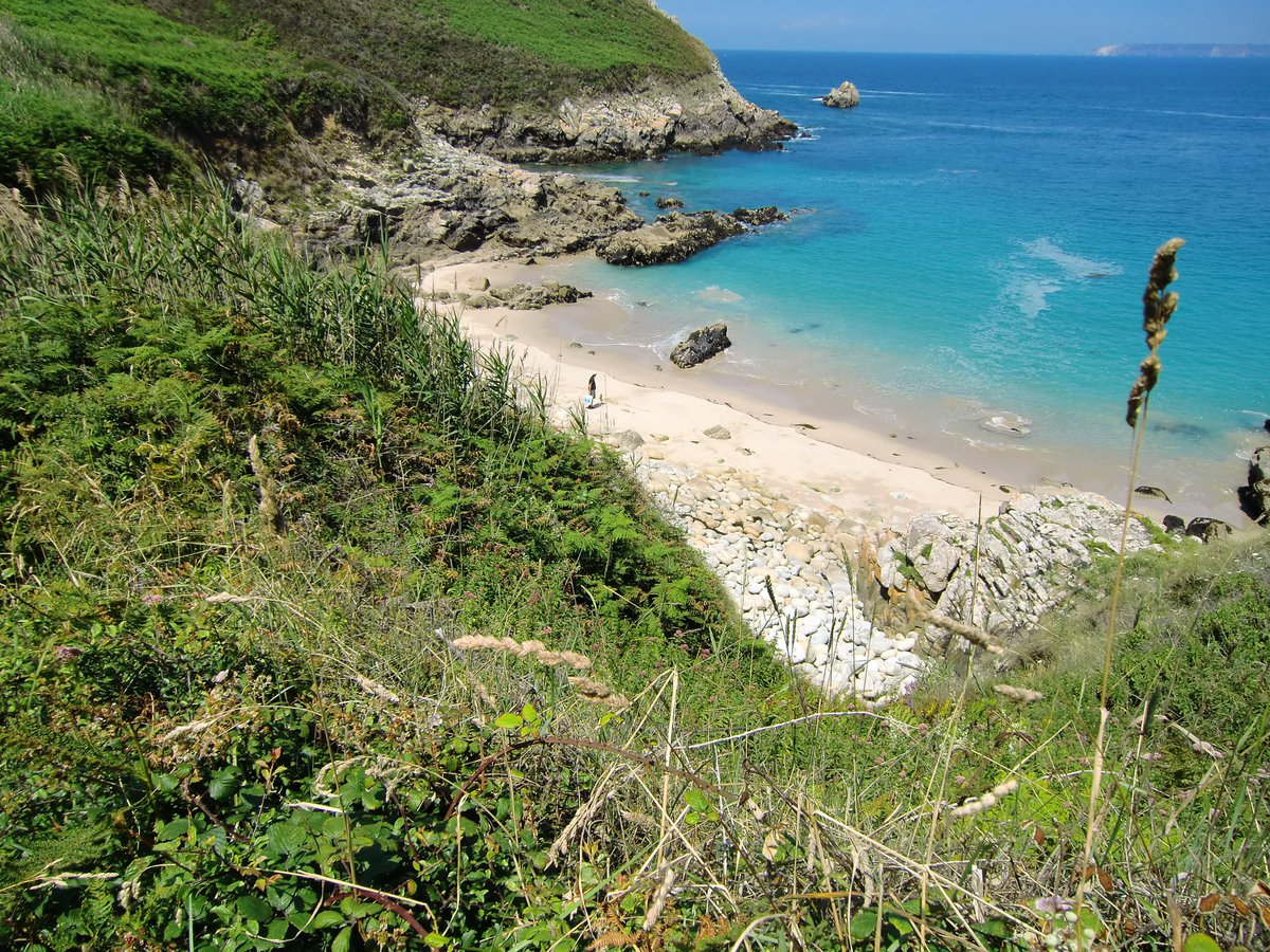 laurent henot tweet media