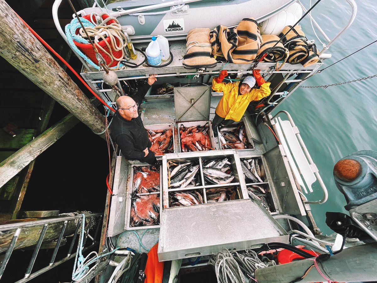 laraortizluis's tweet image. the latest phuuds post is all about salmon fishing phuuds.substack.com/p/2278-fish-la…