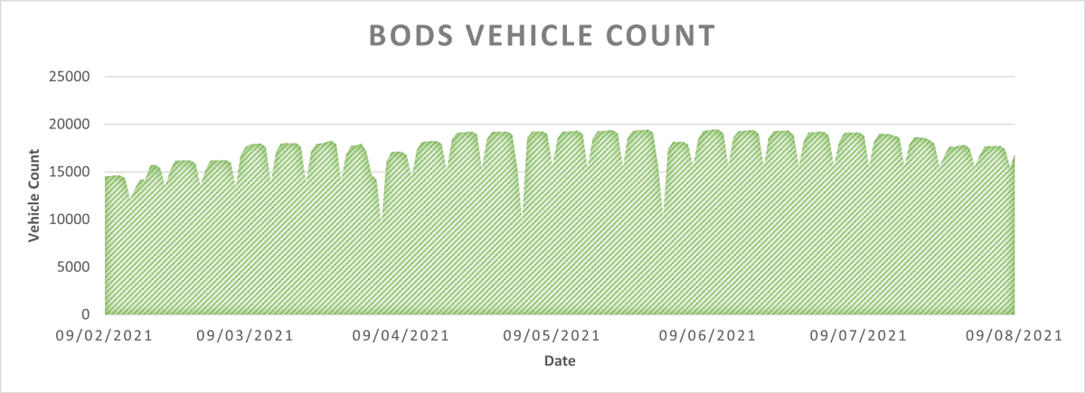 Amy Bridge ⭐ tweet media