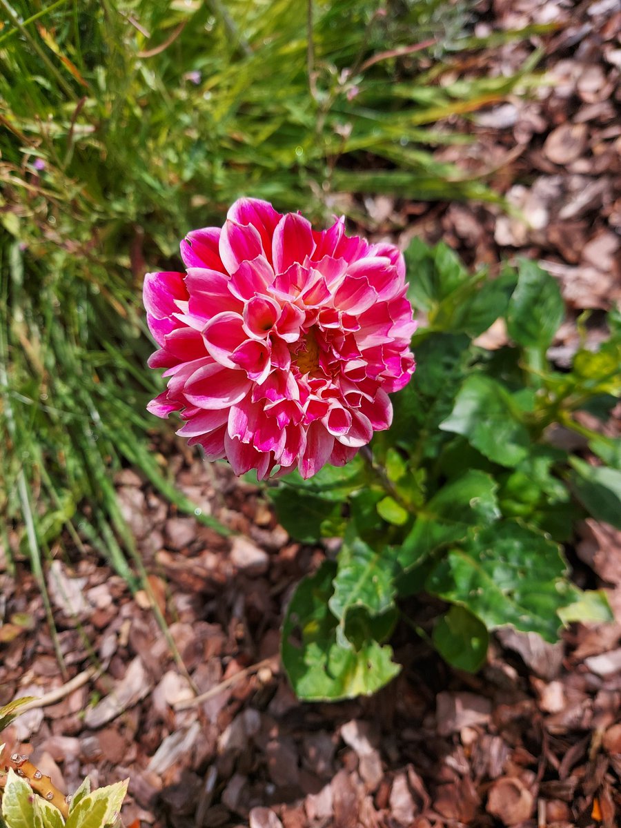 BetterTherapy81's tweet image. When people bring you down, remember, there are more things in life that make you happy...