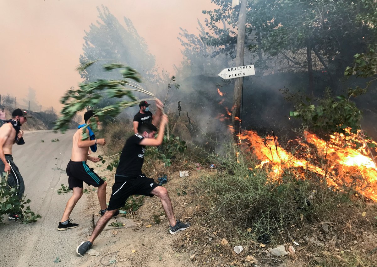 ajplus's tweet photo. Wildfires in Algeria killed at least 65 people, with residents fighting fires due to lack of water dumping planes.

50+ fires broke out, officials suspect arson.

A local compared damage to France's bombings in the war of independence, saying it looks like "the end of the world." https://t.co/34B6RL7lAh