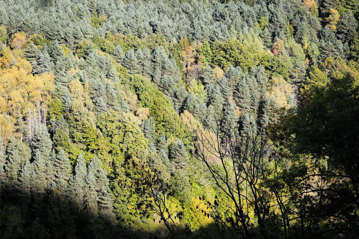 Les nostres muntanyes són el nostre bé més preuat. Demanem molta precaució i responsabilitat a la ciutadania davant l'onada de calor i l'elevat risc d'incendi dels pròxims dies. Per a més informació consulteu <a href="/pcandorra/">Protecció Civil Andorra</a>.