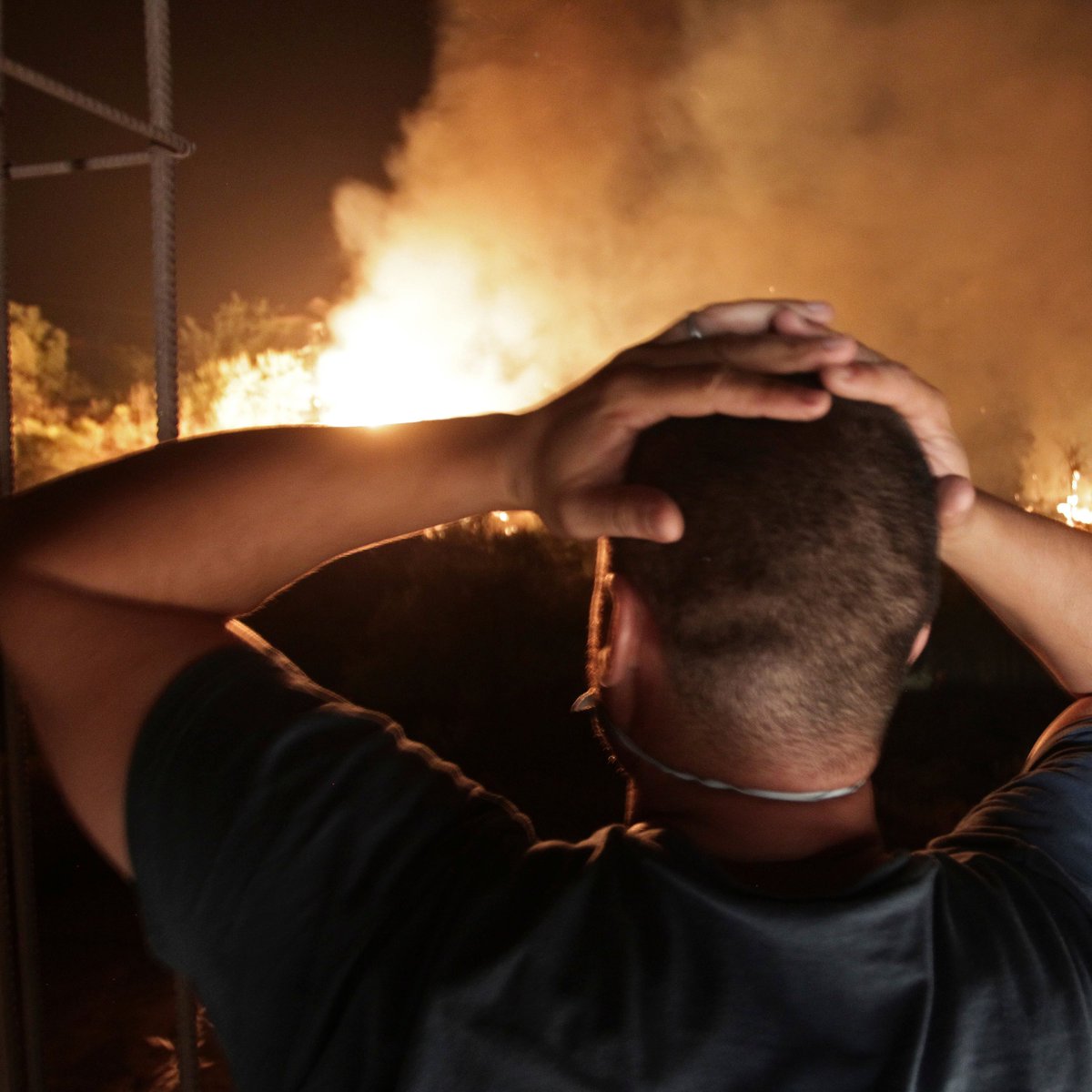 ajplus's tweet photo. Wildfires in Algeria killed at least 65 people, with residents fighting fires due to lack of water dumping planes.

50+ fires broke out, officials suspect arson.

A local compared damage to France's bombings in the war of independence, saying it looks like "the end of the world." https://t.co/34B6RL7lAh