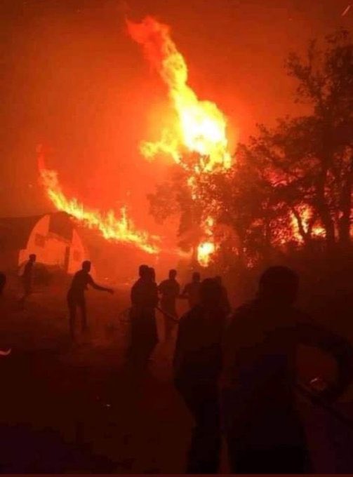 slimaniislam's tweet image. اللهم بردا و سلاما على إخواننا في تيزي وزو 🤲🏻🇩🇿💔