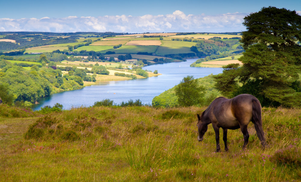 📸Looking to snap some sensational pics of The Lake District?: snapt.rip/2VlauQJ

🏞️Walla Crag by Ashness Bridge, route doesn’t disappoint.