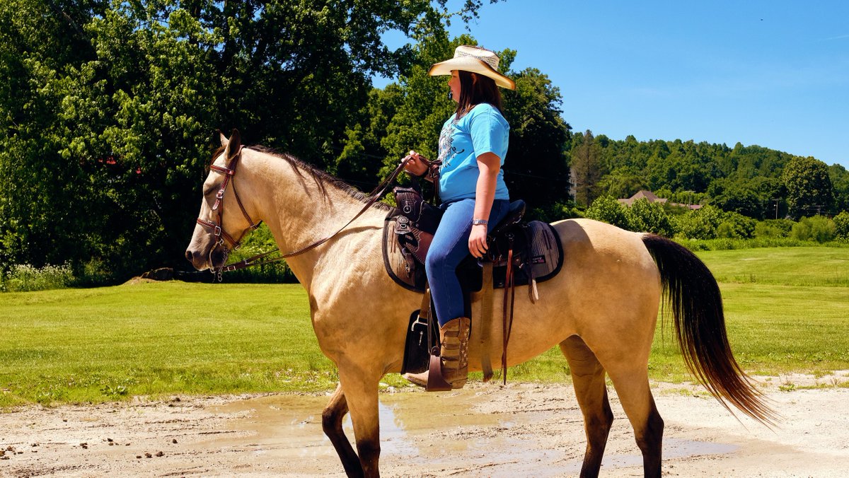 Kentucky Tourism tweet media