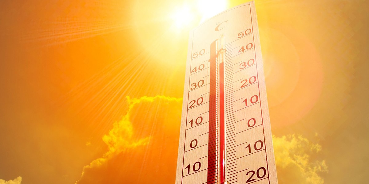 There are three Emergency Cooling Centres open today, August 11, to provide relief from the heat to any resident in need. bit.ly/3lOMe4S

For tips to #BeatTheHeat: bit.ly/36vMzQg