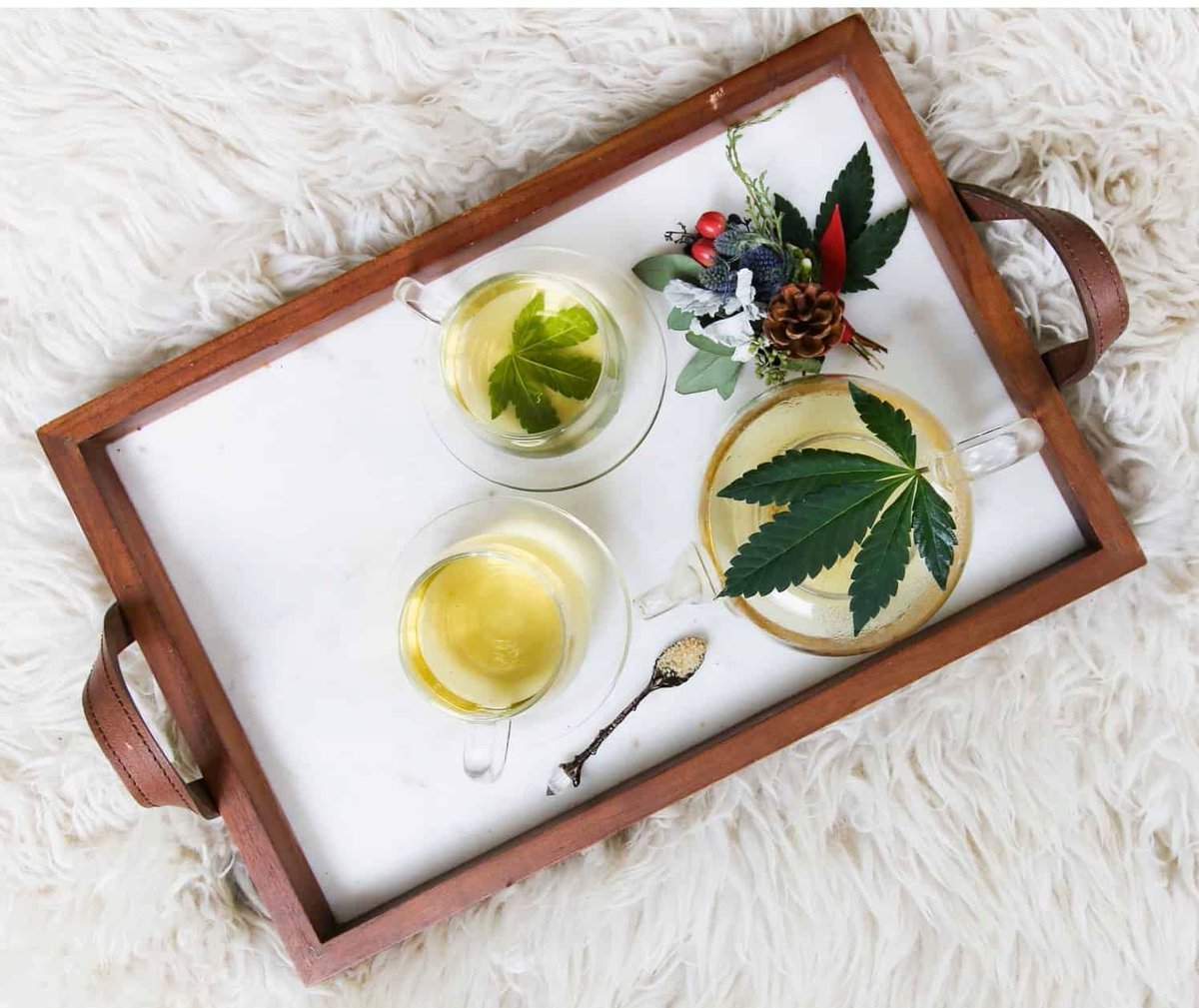 MyTeaVault's tweet photo. Hemp, CBD and THC tea, the benefits and history. Important things to know before you decide to sip a cup.
https://t.co/QENhSQcL2S
#weedtea #hemptea #cbdtea #gethighfromtea #marijuna #ishemplegal https://t.co/BHTJ80zZCn