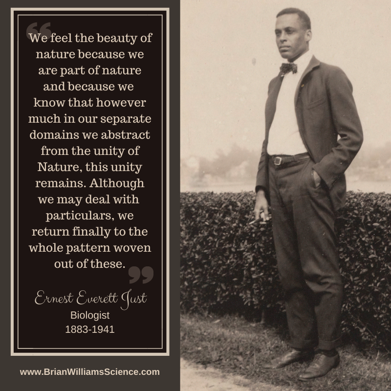 Here's a bit of #WednesdayWisdom for you from the mind of Dr. Everett Just! This Saturday (Aug. 14) will be his 138th birthday.  Read more about his brilliant contributions to our world here: biography.com/scientist/erne…

#DoSomeScience