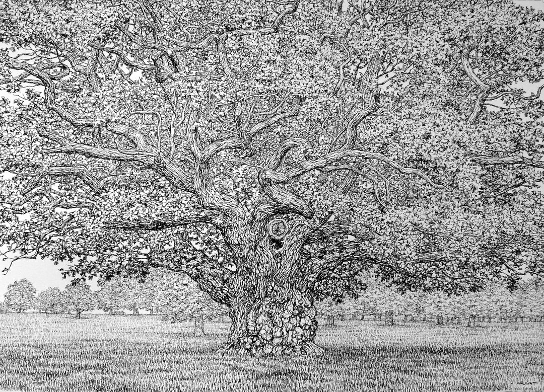 Roy Wright
Summer arrives on the Old Oak III, 2021
charcoal on Khadi paper
136 x 104 cm
53 1/2 x 41 in
@roywrightart
.
.
#artwork #artoftheday #artcollector #artistsoninstagram #instaart #londongallery #rebeccahossackartgallery #inspiration #artsy #interiordesign #nature