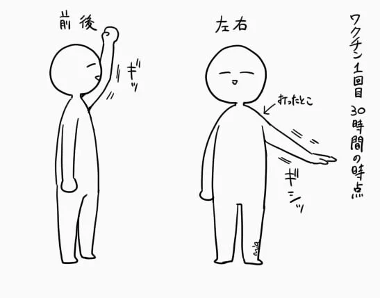 30時間
体温37.1℃
前後はだいぶ上がるようになった。横はちょっとしか変わってないかな。
じっとしてれば何も感じない。打ったとこの周囲だけ1cmほど触るとちょっといたい。
猫を構いづらいので早く可動域戻るといいな。 