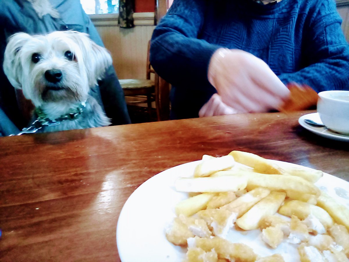 AndrewNoble16's tweet photo. #beautiful catch up with my friend Terry #StAnnes #TownHouse @greeneking @greenekingcares such a #beautiful #Customercare experience #Dogs welcome on lead #community #pubsafe coming back #safely to our #local #excellent #customerservice second to none 👊 welcome back #team! 👊🐾 https://t.co/QwUpw6WIQA
