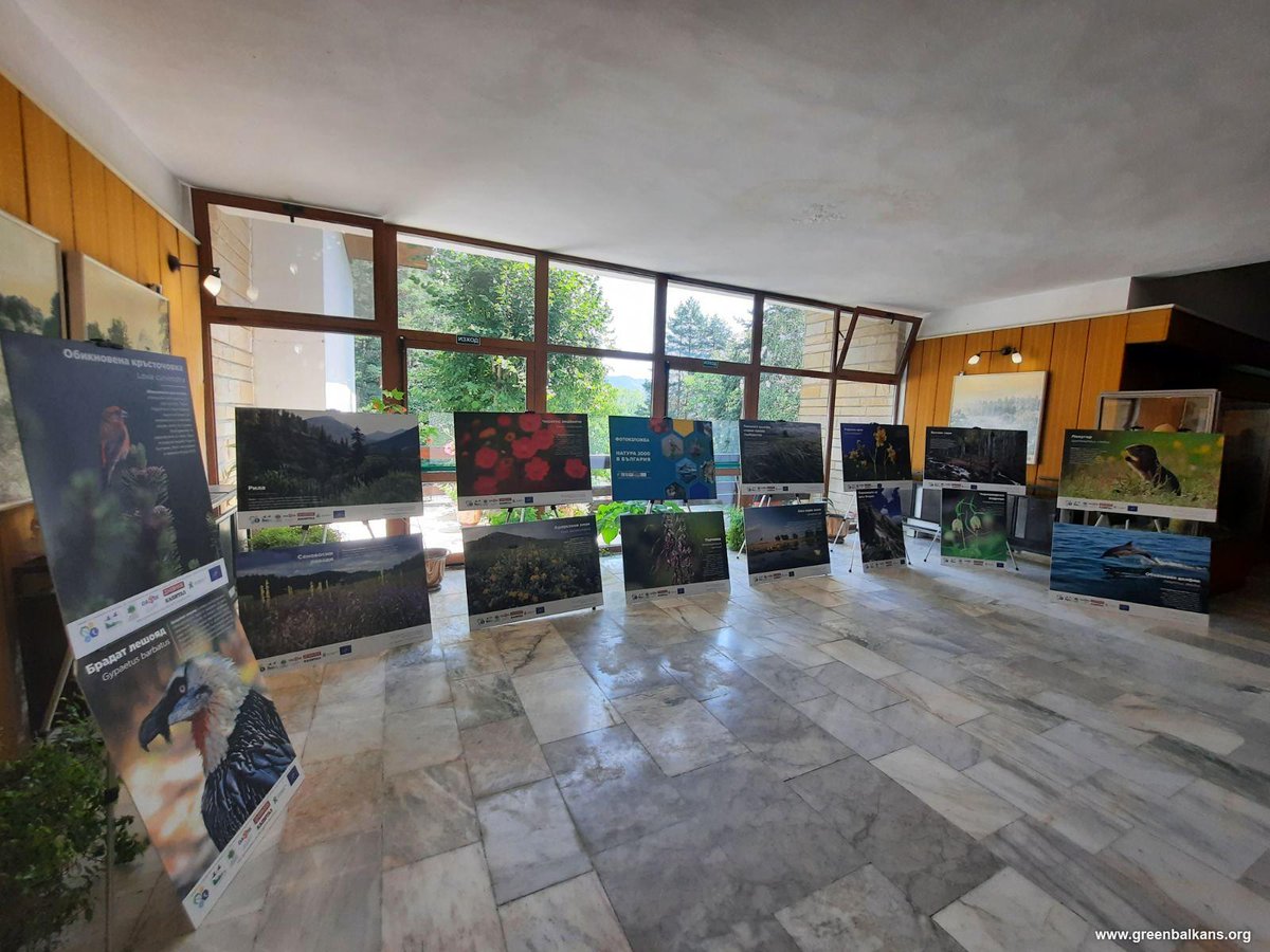 greenbalkans tweet media