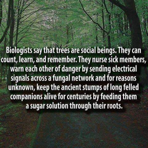 AmericanIndian8's tweet photo. #INDIGENOUS #TAIRP https://t.co/BDpTMgfTle