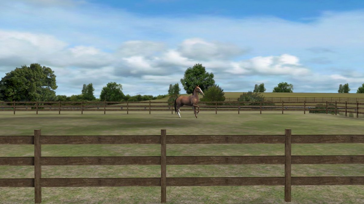 Check out my photo! Add me, SereneOlive980. #MyHorse  nmgam.es/horse_twitter