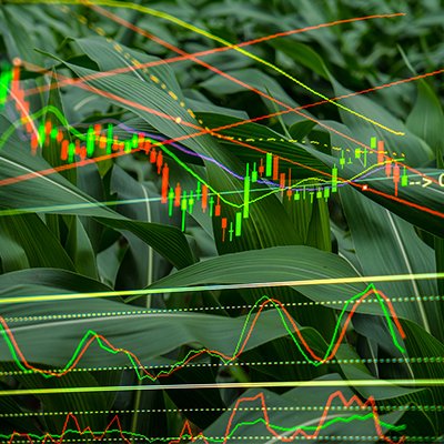 Brian Lutz (@brian_d_lutz) on Twitter photo #AI is about to have researchers seeing double. With a $20 million grant from <a href="/NSF/">U.S. National Science Foundation</a> & <a href="/USDA_NIFA/">NIFA</a>, the new AI Institute for Resilient Agriculture will create digital twins of individual crops to simulate the endless possibilities for each plant on the farm. bit.ly/2Vt5p9n #AI is about to have researchers seeing double. With a $20 million grant from <a href="/NSF/">U.S. National Science Foundation</a> & <a href="/USDA_NIFA/">NIFA</a>, the new AI Institute for Resilient Agriculture will create digital twins of individual crops to simulate the endless possibilities for each plant on the farm. bit.ly/2Vt5p9n