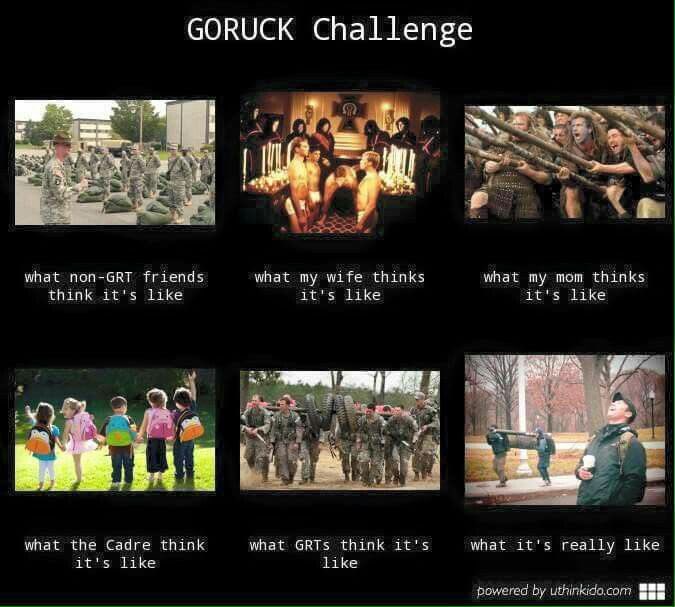 F3 Ranger Panties tweet media