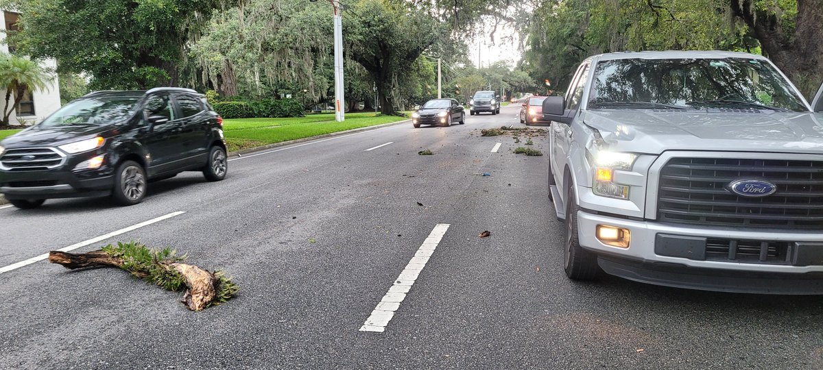 edgarcomellas's tweet photo. .@news6wkmg  will you do a community help story? A tree branch from a private property damage my vehicle. Owners not responding. The owner are @WFTV https://t.co/MSpZLqfdsl