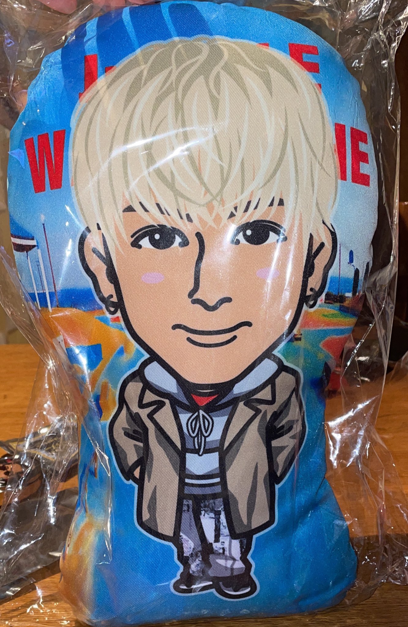 長谷川慎 W2P クッション